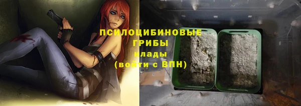 ешки Володарск