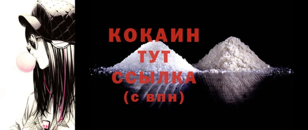 стафф Сясьстрой