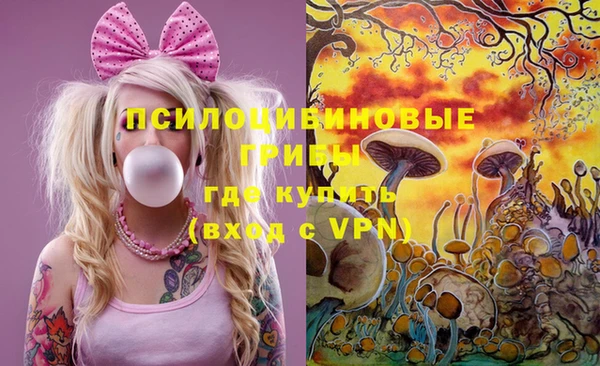 дурь Волоколамск
