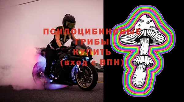 дурь Волоколамск
