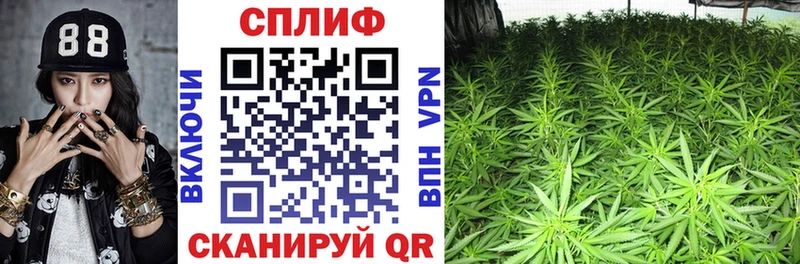 наркотики  Назарово  Конопля сатива 